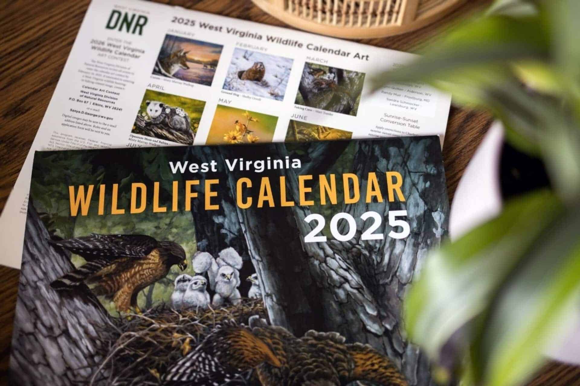 2025 West Virginia Wildlife Calendar now available, celebrates 40 years